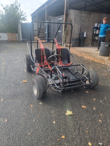 Wasp cart race - race, 2
